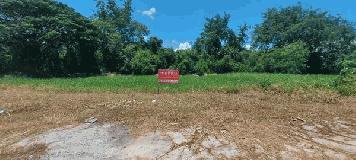 ขายที่ดินใน ต.เขาสามยอด อ.เมืองลพบุรี เนื้อที่ 1 ไร่ 1 งาน 90 ตร.ว. อยู่ใจกลางเมืองลพบุรี